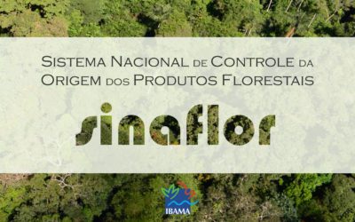 Ibama disponibiliza plataforma de Ensino a Distância (EaD) para capacitar empreendedores, responsáveis técnicos e servidores de órgãos ambientais a operar o Sistema Nacional de Controle da Origem dos Produtos Florestais (Sinaflor).