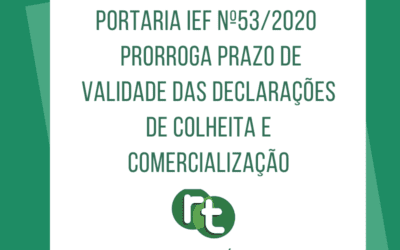 Portaria IEF nº53/2020  prorroga prazo de validade das Declarações de Colheita e Comercialização