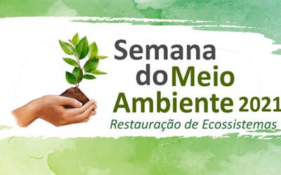 Governo de Minas promove agenda comemorativa em celebração ao Dia do Meio Ambiente