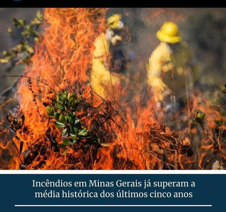 Incêndios Florestais em Minas Gerais superam média histórica