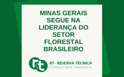 Minas Gerais segue na liderança do setor florestal brasileiro