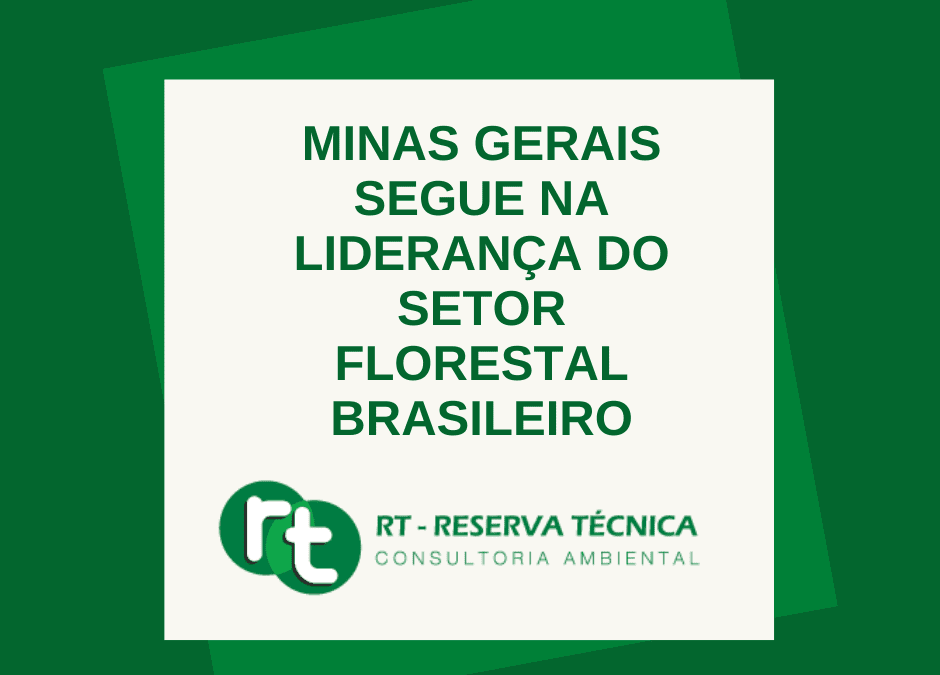 Minas Gerais segue na liderança do setor florestal brasileiro