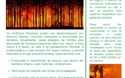 Incêndio Florestal